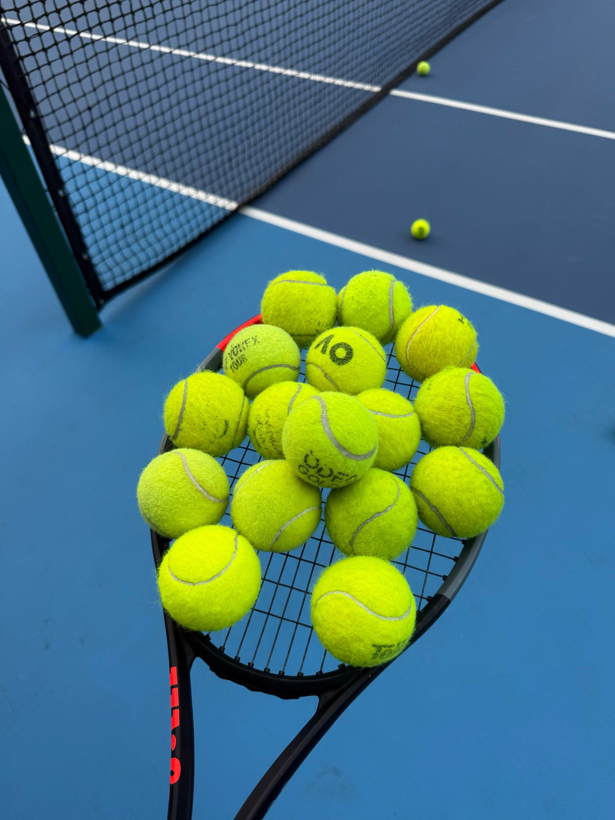 入了新的活 入了新的活