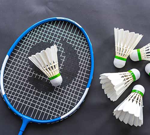 羽坛新人激 羽坛新人激