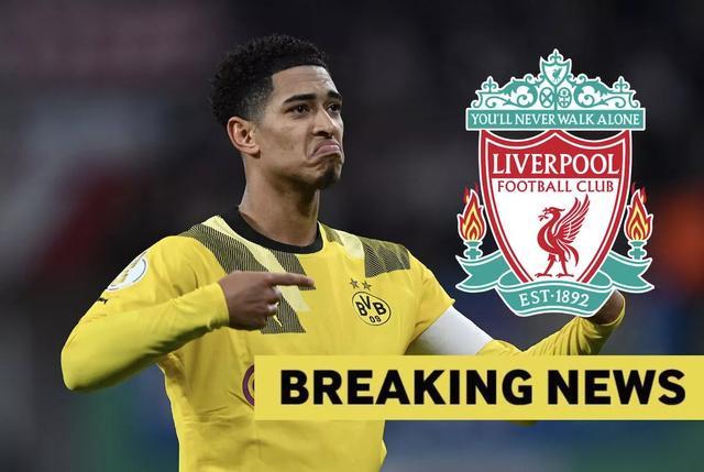 主播与战队 主播与战队